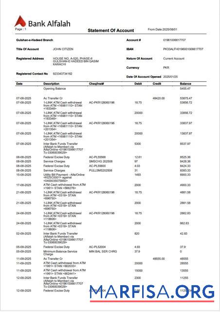 Downloadable Pakistan Bank Alfalah statement of account word real example